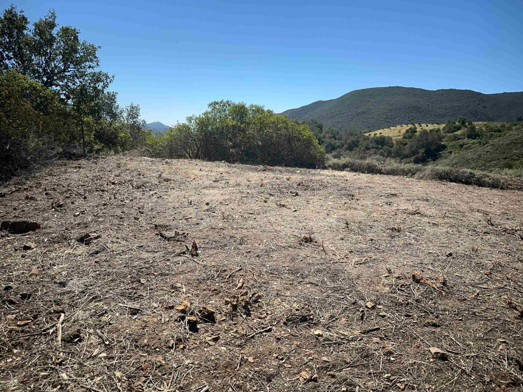 9-10 Calle Cresta Road Temecula, CA 92590 - Photo 10 of 21 a view of a dry yard with mountains in the background