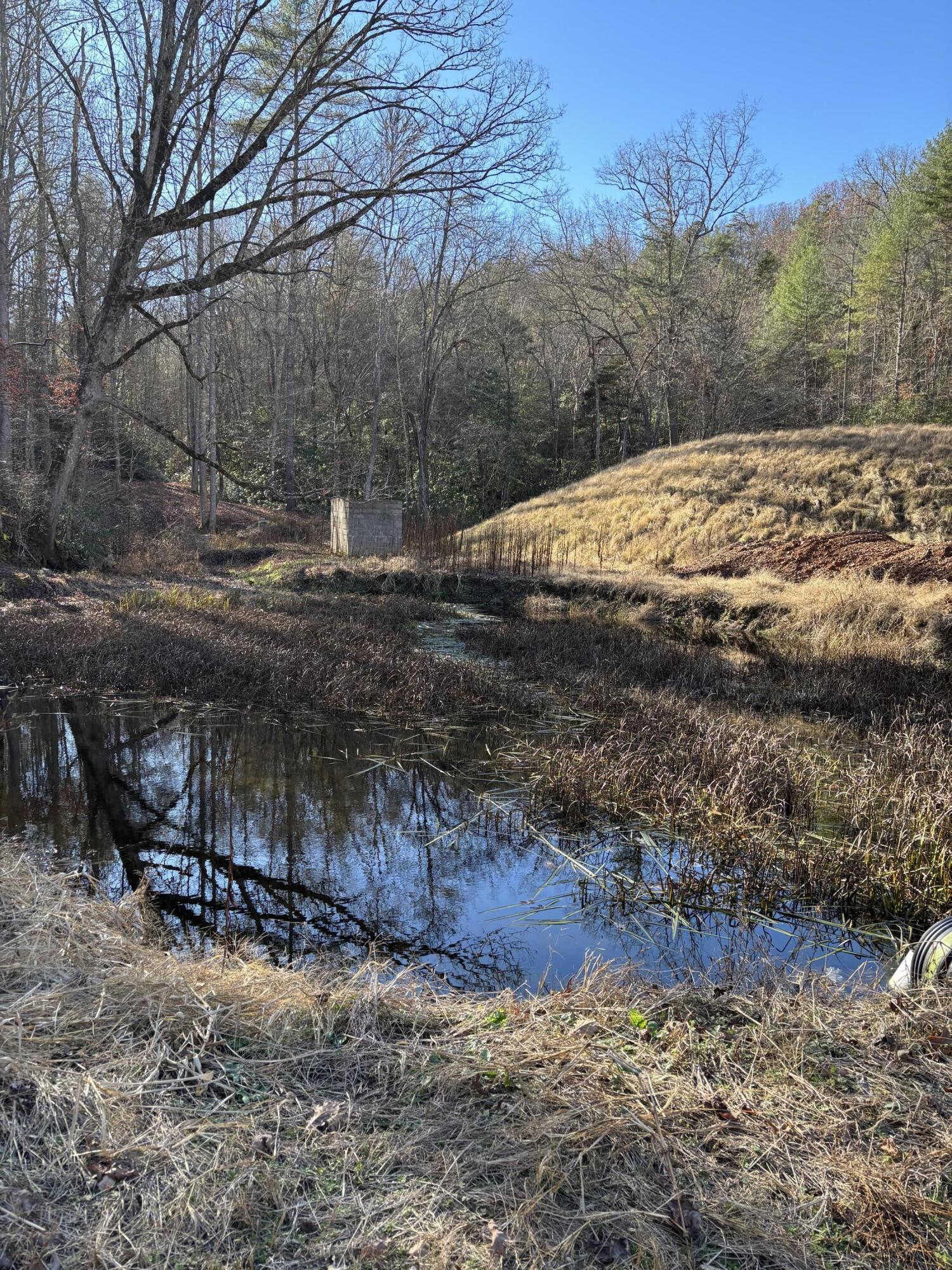 Burns 476 appalachia dam rd photo8