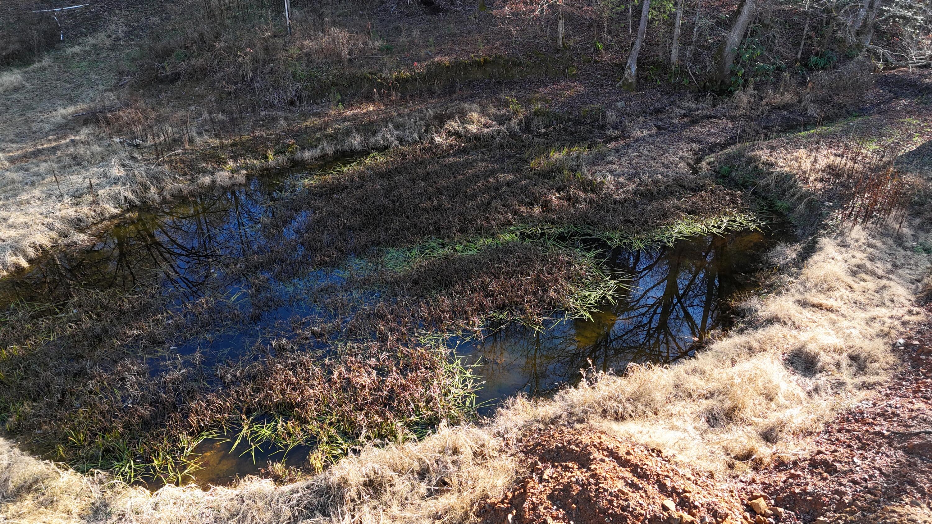 476 Appalachia Dam Road Farner, TN 37333 - Photo 11 of 53 Burns 476 appalachia dam rd photo drone2