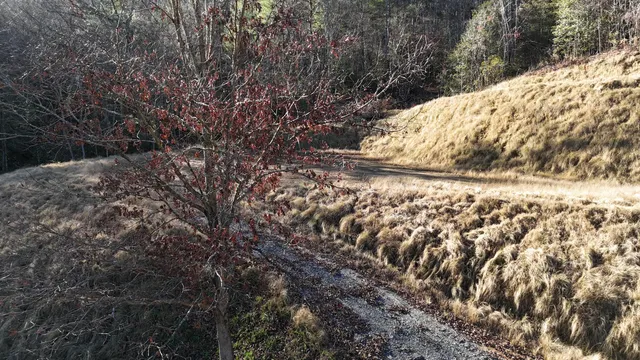 $445,000 | 476 Appalachia Dam Road, Farner, TN 37333