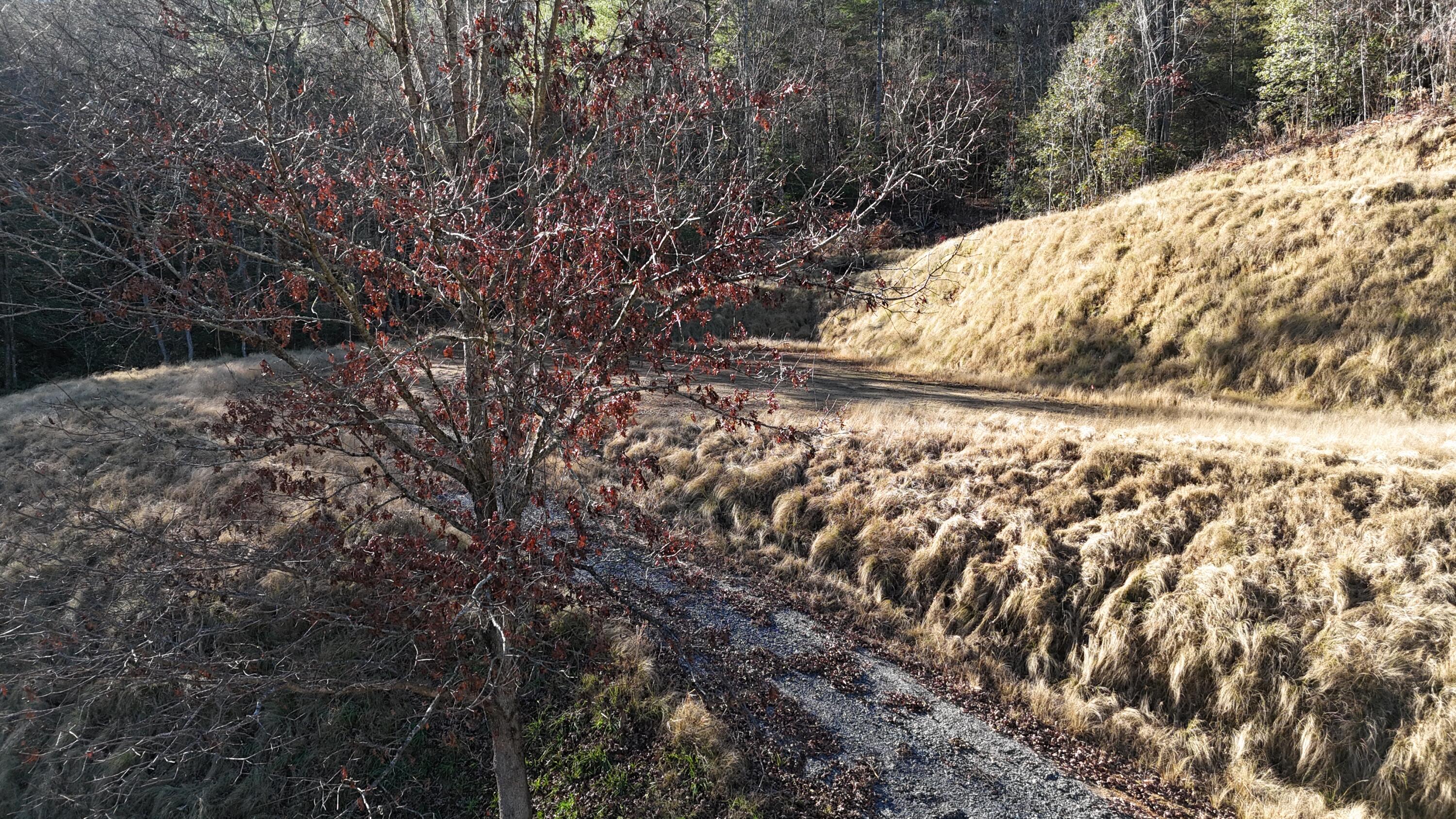 476 Appalachia Dam Road Farner, TN 37333 - Photo 12 of 53 Burns 476 appalachia dam rd photo drone3