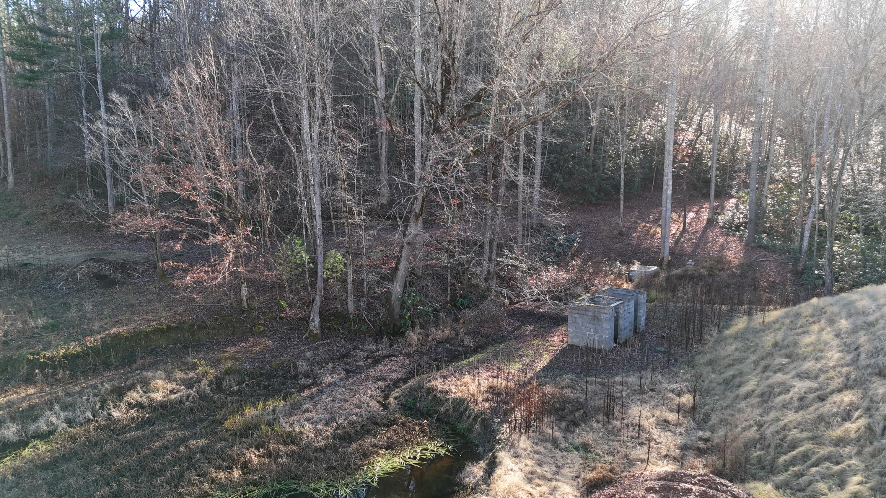 476 Appalachia Dam Road Farner, TN 37333 - Photo 13 of 53 Burns 476 appalachia dam rd photo drone4