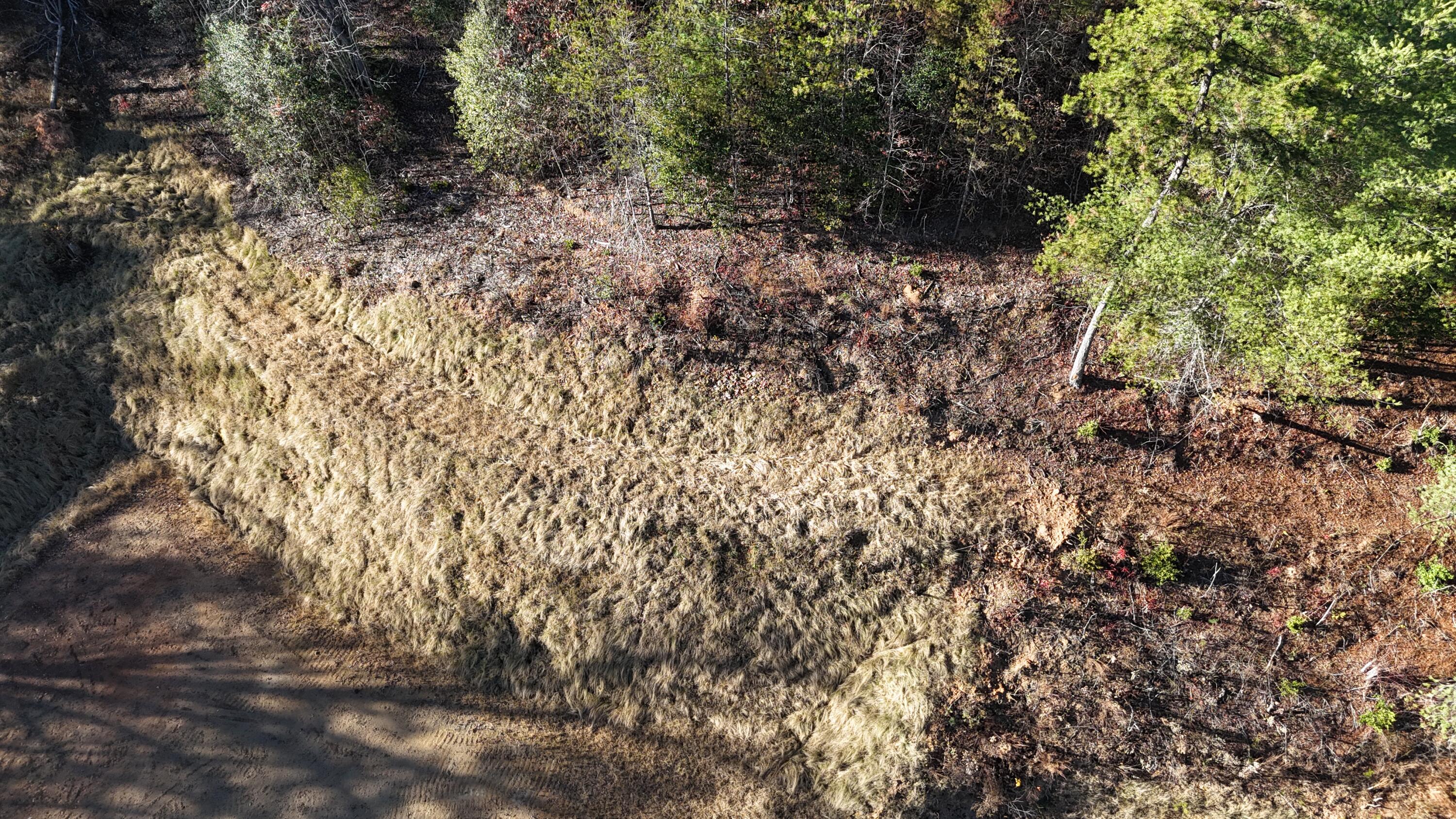 476 Appalachia Dam Road Farner, TN 37333 - Photo 17 of 53 Burns 476 appalachia dam rd photo drone8
