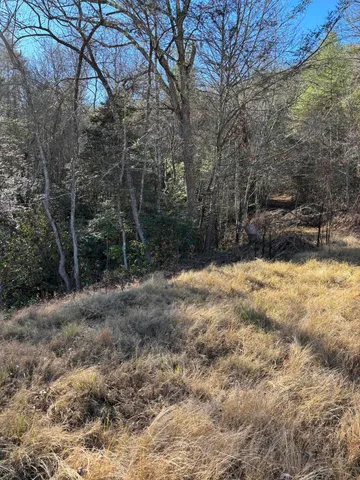 $445,000 | 476 Appalachia Dam Road, Farner, TN 37333