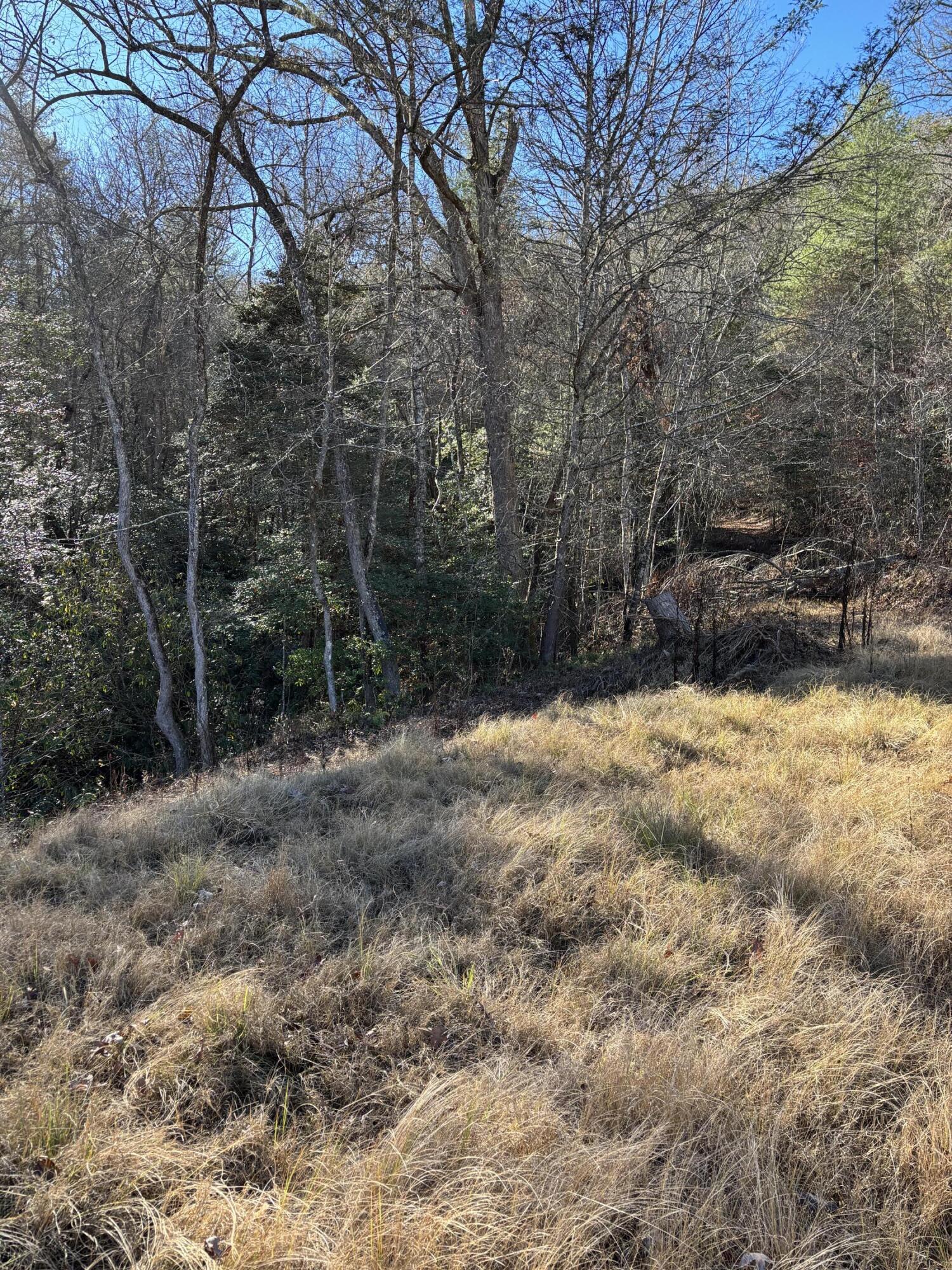 476 Appalachia Dam Road Farner, TN 37333 - Photo 19 of 53 Burns 476 appalachia dam rd photo9