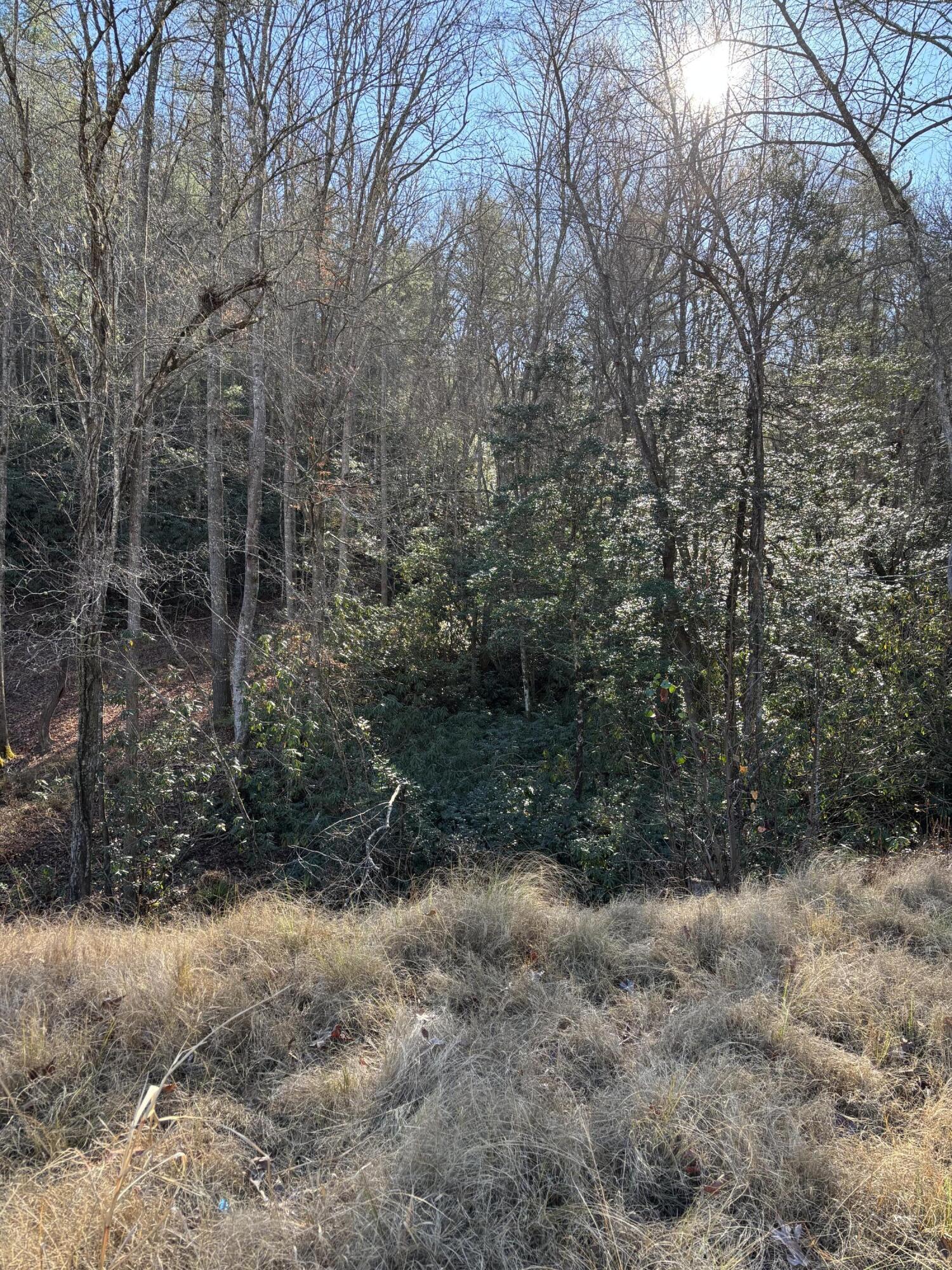 476 Appalachia Dam Road Farner, TN 37333 - Photo 20 of 53 Burns 476 appalachia dam rd photo10