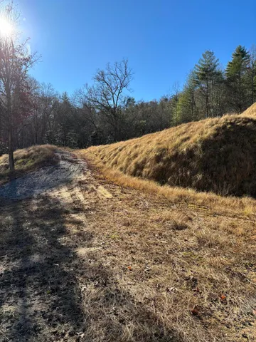 $445,000 | 476 Appalachia Dam Road, Farner, TN 37333