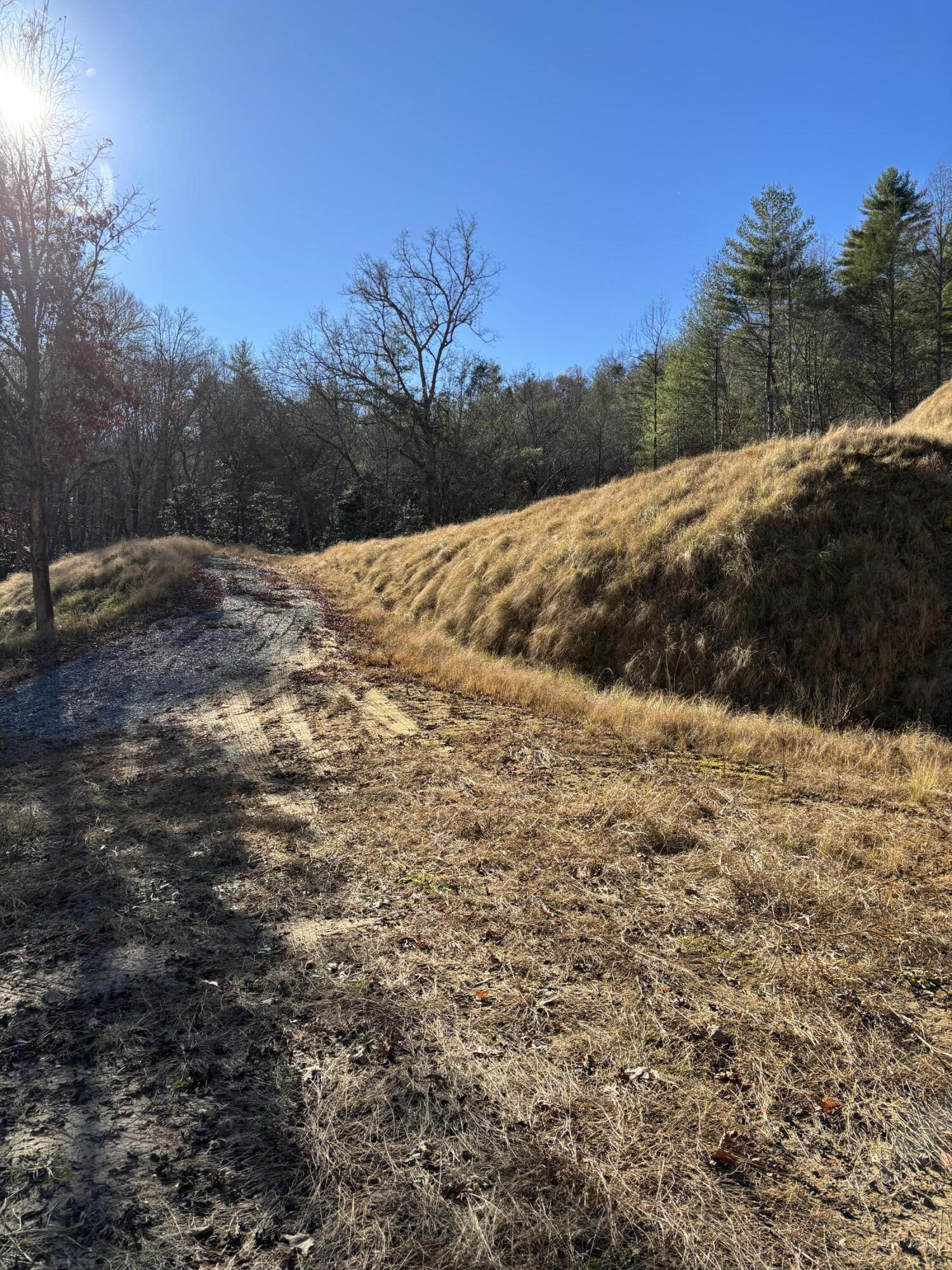 476 Appalachia Dam Road Farner, TN 37333 - Photo 2 of 53 Burns 476 appalachia dam rd photo4