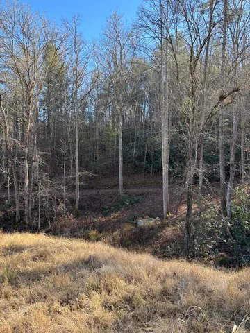 $445,000 | 476 Appalachia Dam Road, Farner, TN 37333