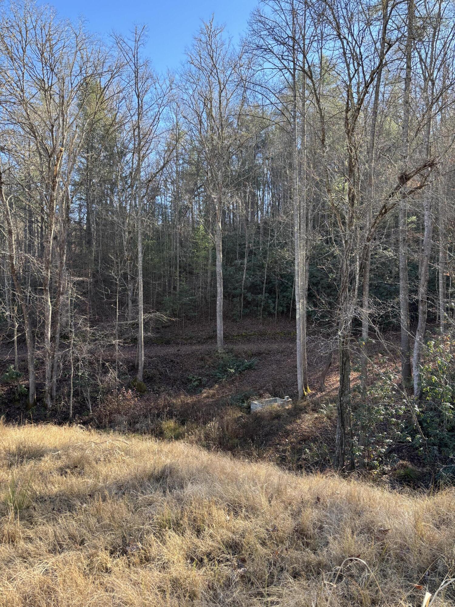 476 Appalachia Dam Road Farner, TN 37333 - Photo 21 of 53 Burns 476 appalachia dam rd photo11