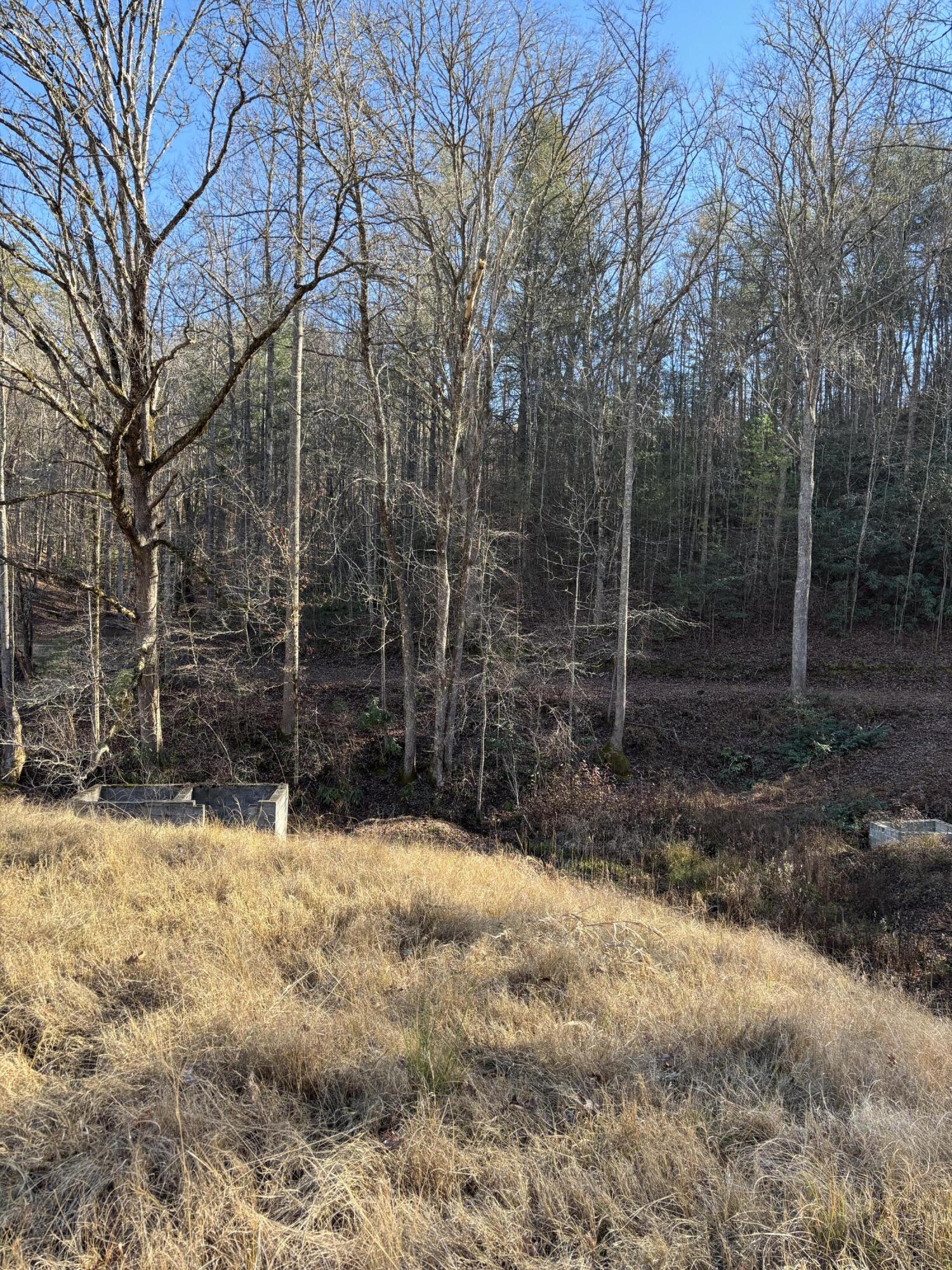476 Appalachia Dam Road Farner, TN 37333 - Photo 22 of 53 Burns 476 appalachia dam rd photo12