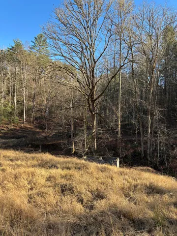 $445,000 | 476 Appalachia Dam Road, Farner, TN 37333