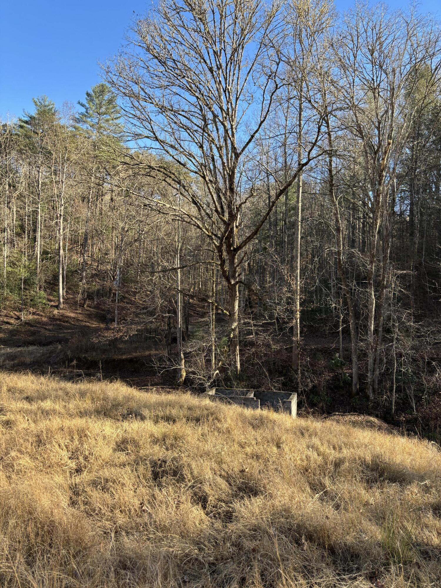 476 Appalachia Dam Road Farner, TN 37333 - Photo 23 of 53 Burns 476 appalachia dam rd photo13