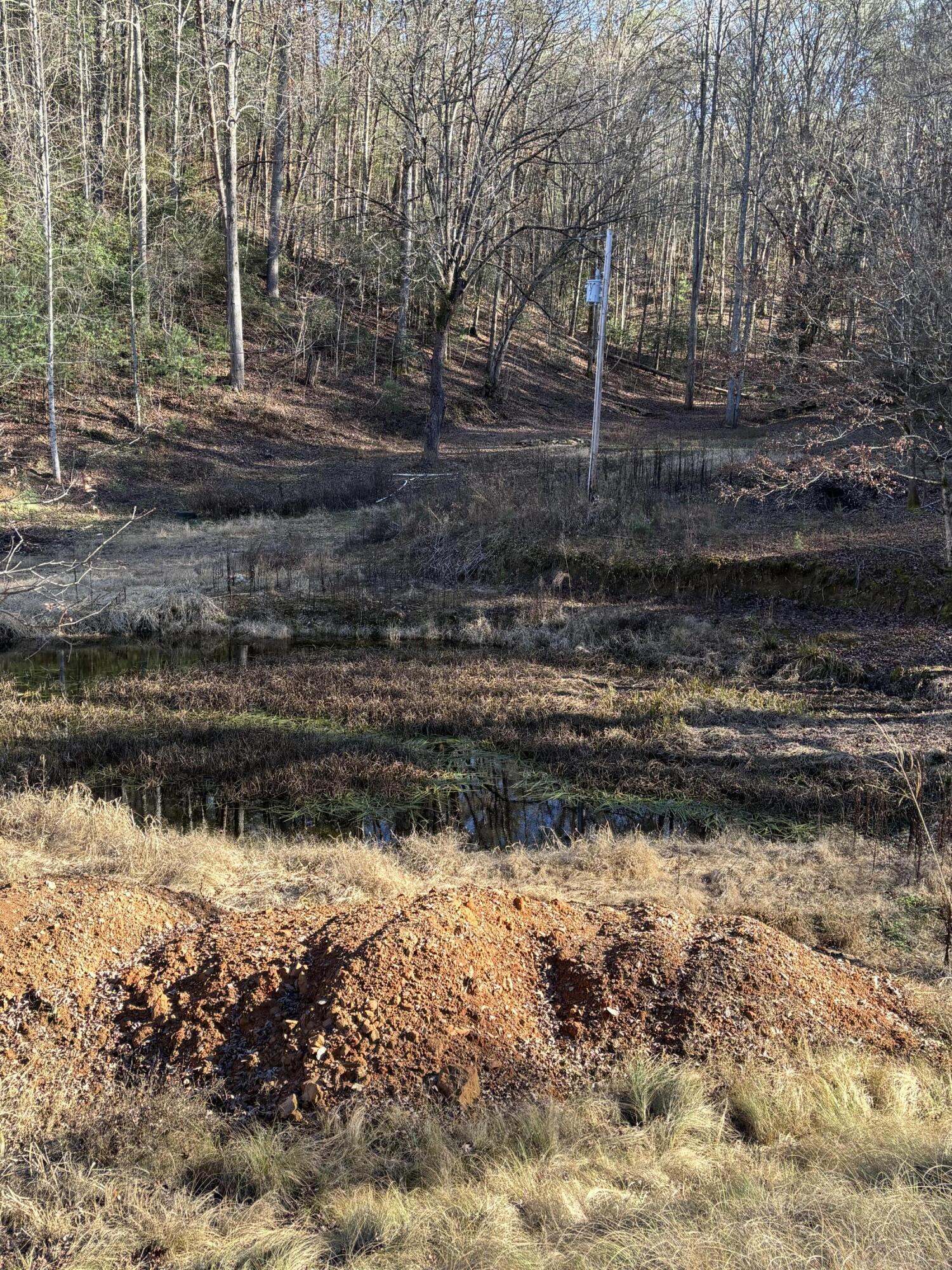 476 Appalachia Dam Road Farner, TN 37333 - Photo 26 of 53 Burns 476 appalachia dam rd photo16