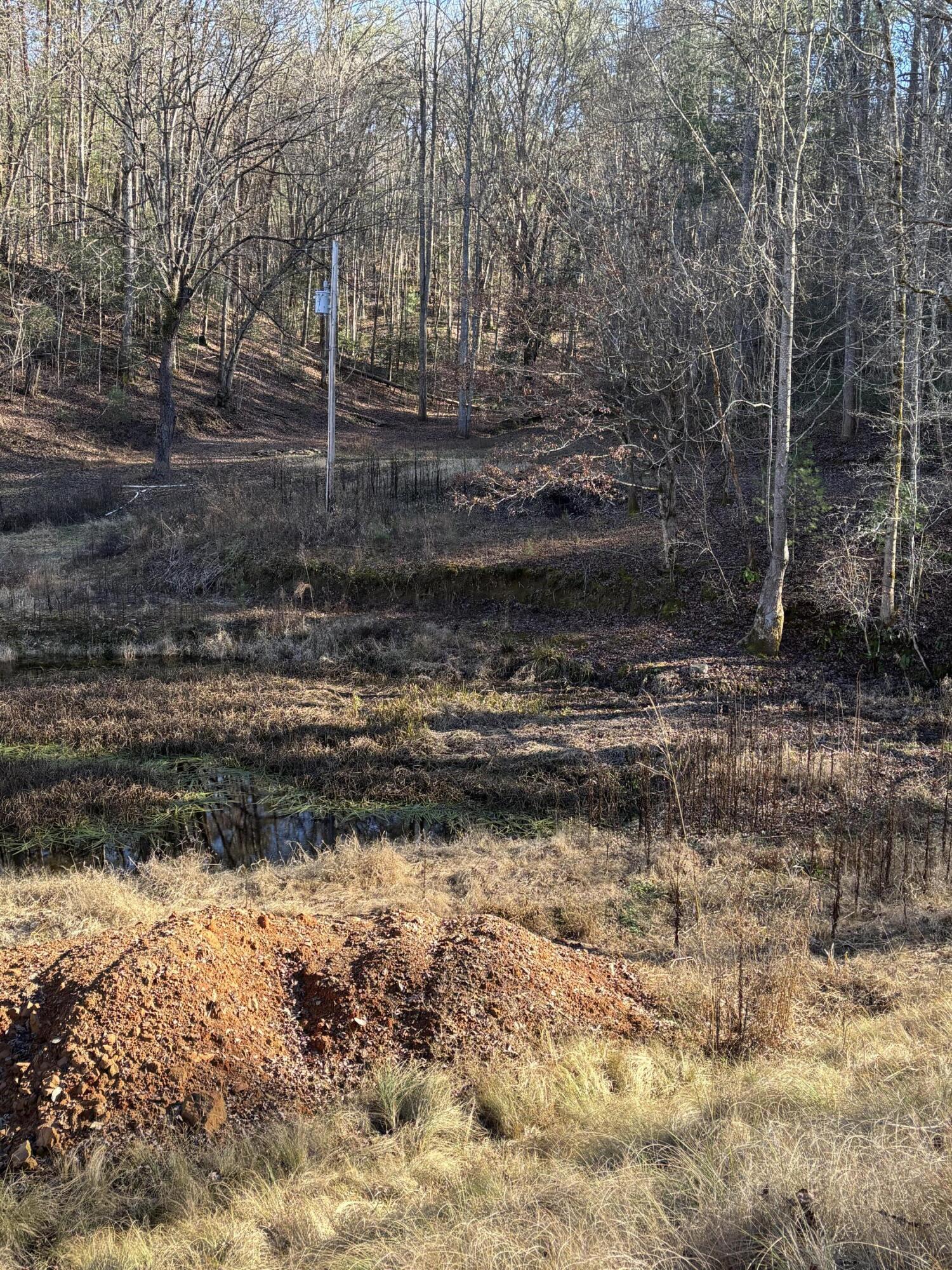 476 Appalachia Dam Road Farner, TN 37333 - Photo 27 of 53 Burns 476 appalachia dam rd photo17