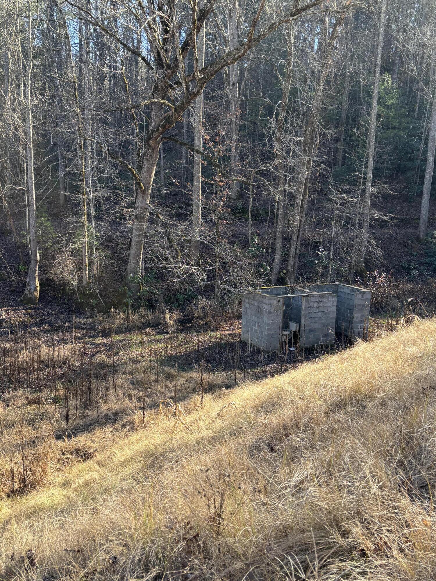 476 Appalachia Dam Road Farner, TN 37333 - Photo 28 of 53 Burns 476 appalachia dam rd photo18