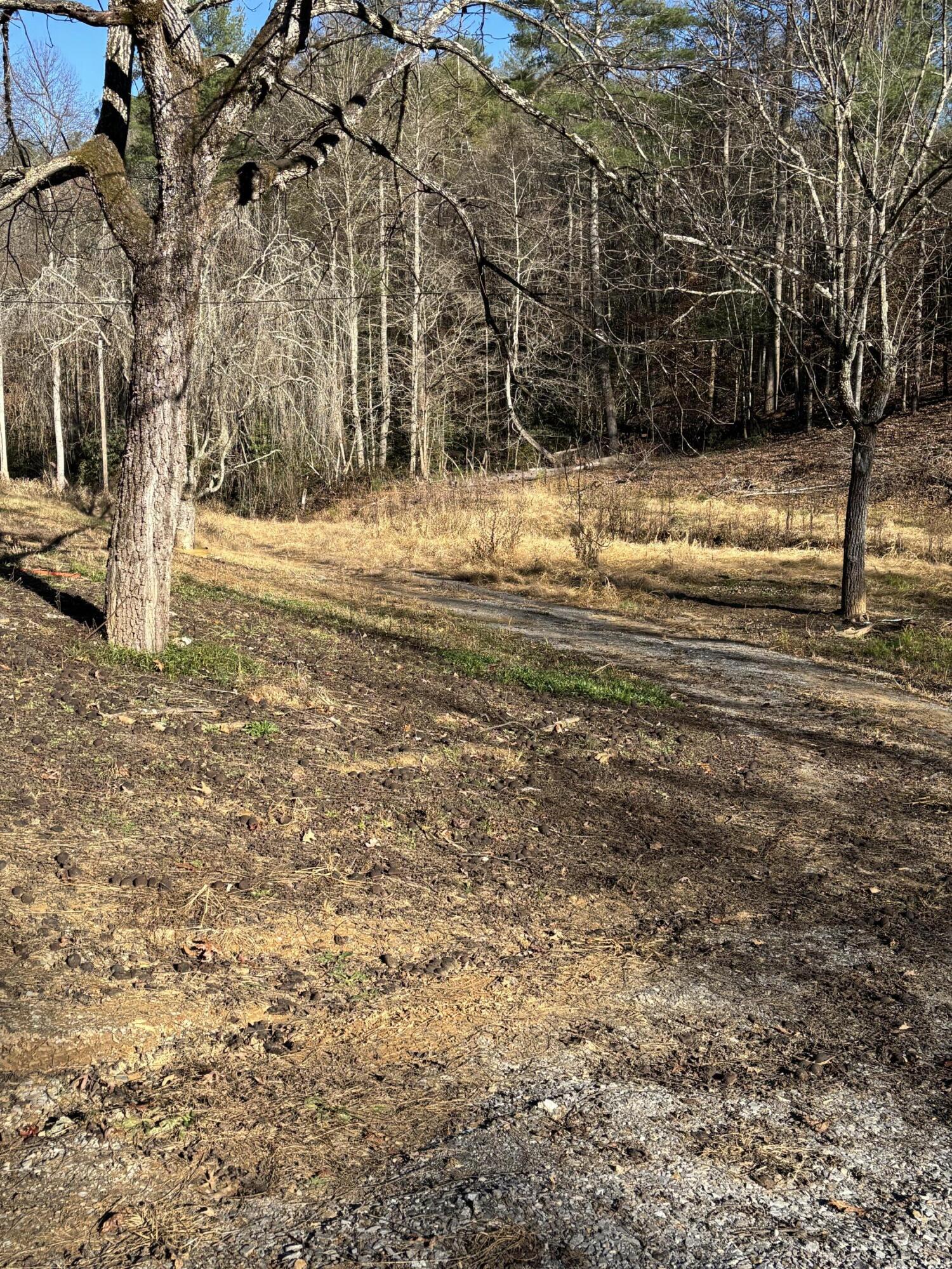 476 Appalachia Dam Road Farner, TN 37333 - Photo 29 of 53 Burns 476 appalachia dam rd photo19