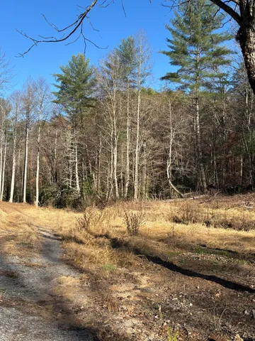 $445,000 | 476 Appalachia Dam Road, Farner, TN 37333