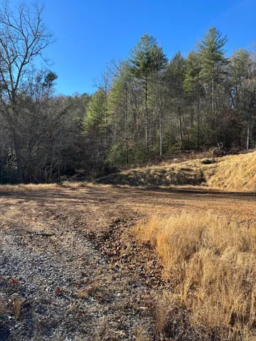 $445,000 | 476 Appalachia Dam Road, Farner, TN 37333