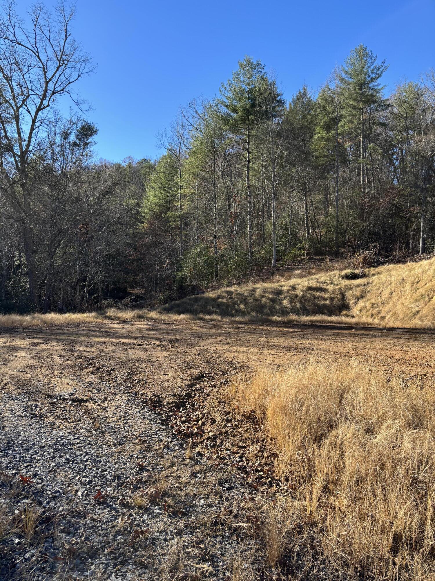 476 Appalachia Dam Road Farner, TN 37333 - Photo 3 of 53 Burns 476 appalachia dam rd photo5