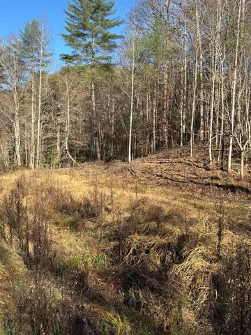 $445,000 | 476 Appalachia Dam Road, Farner, TN 37333