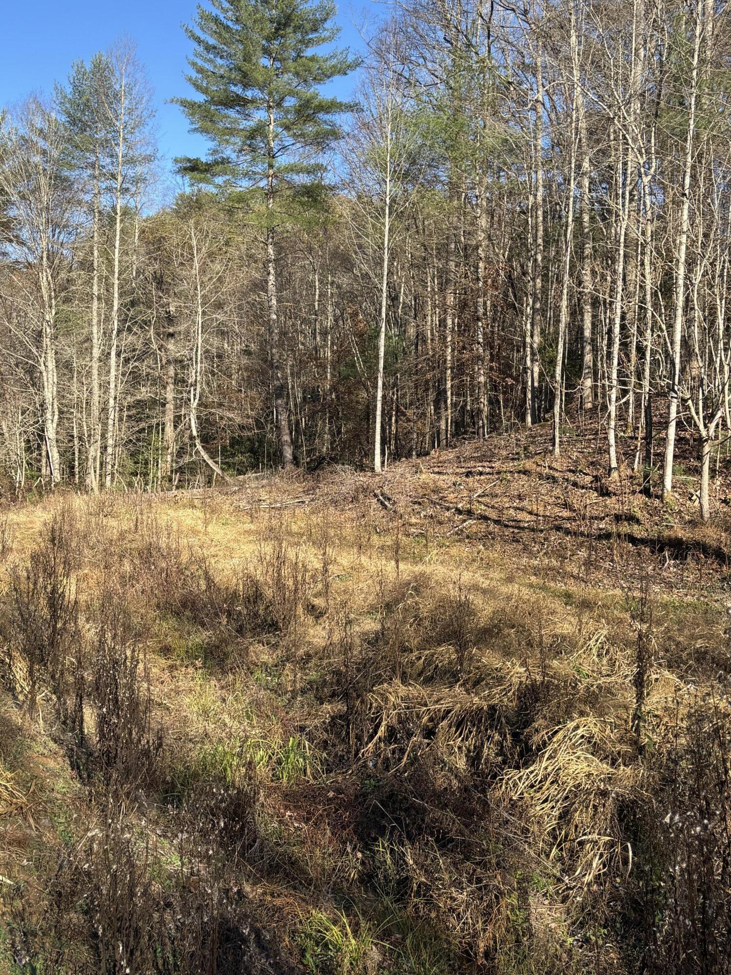 476 Appalachia Dam Road Farner, TN 37333 - Photo 31 of 53 Burns 476 appalachia dam rd photo21