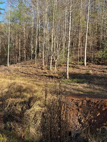 $445,000 | 476 Appalachia Dam Road, Farner, TN 37333