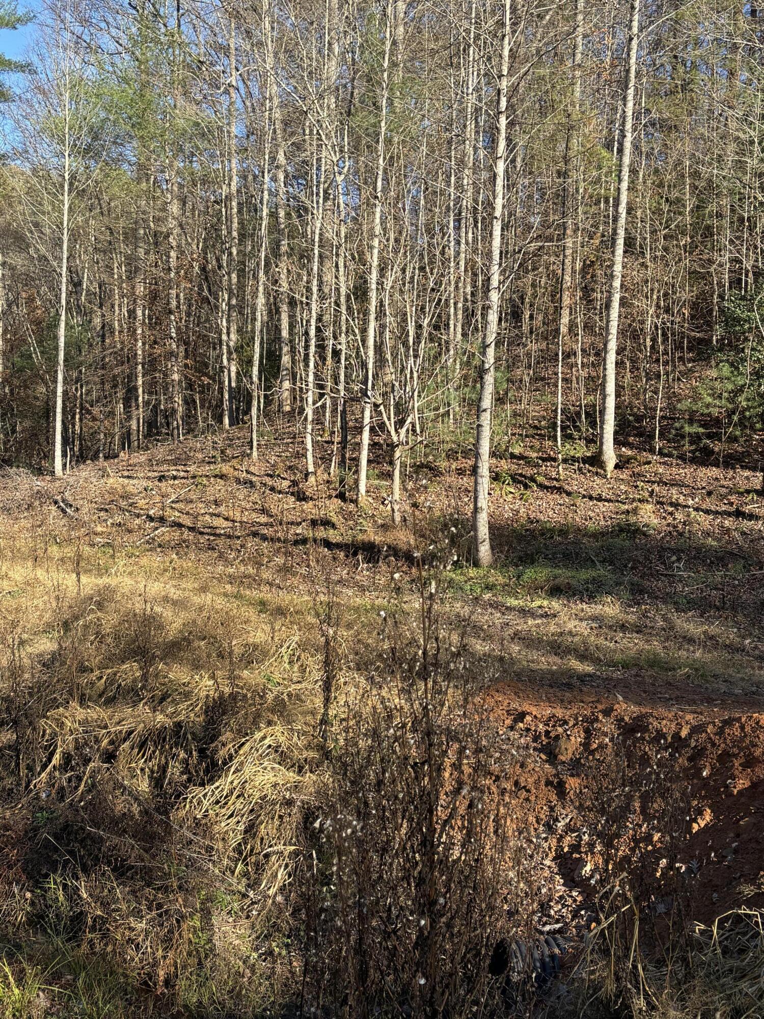 476 Appalachia Dam Road Farner, TN 37333 - Photo 32 of 53 Burns 476 appalachia dam rd photo22