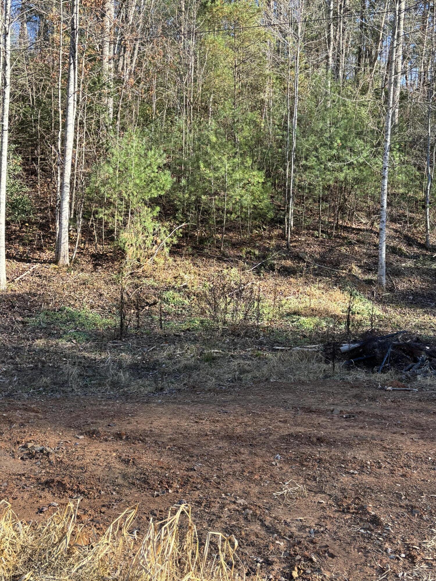 476 Appalachia Dam Road Farner, TN 37333 - Photo 33 of 53 Burns 476 appalachia dam rd photo23