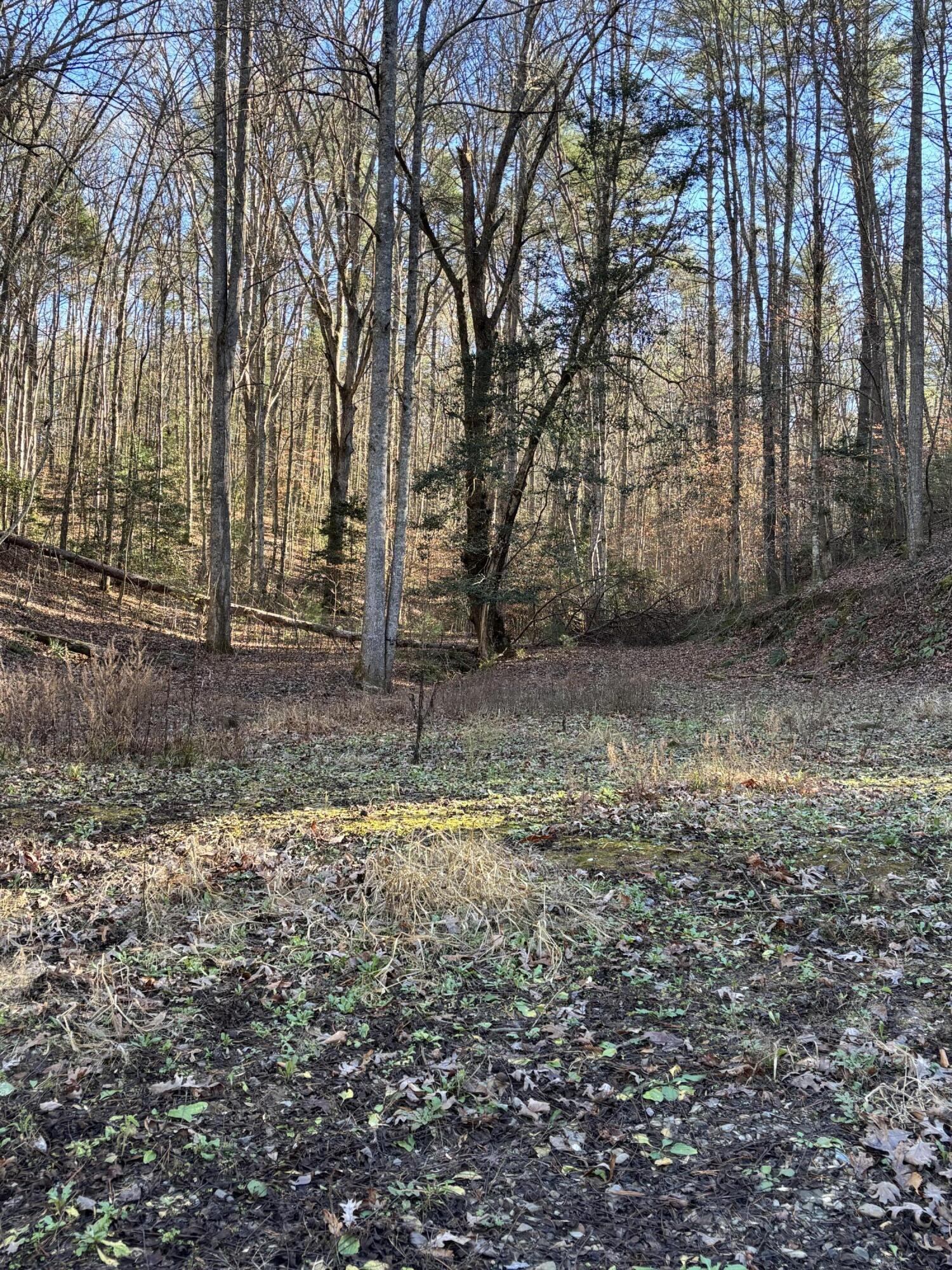 476 Appalachia Dam Road Farner, TN 37333 - Photo 35 of 53 Burns 476 appalachia dam rd photo25