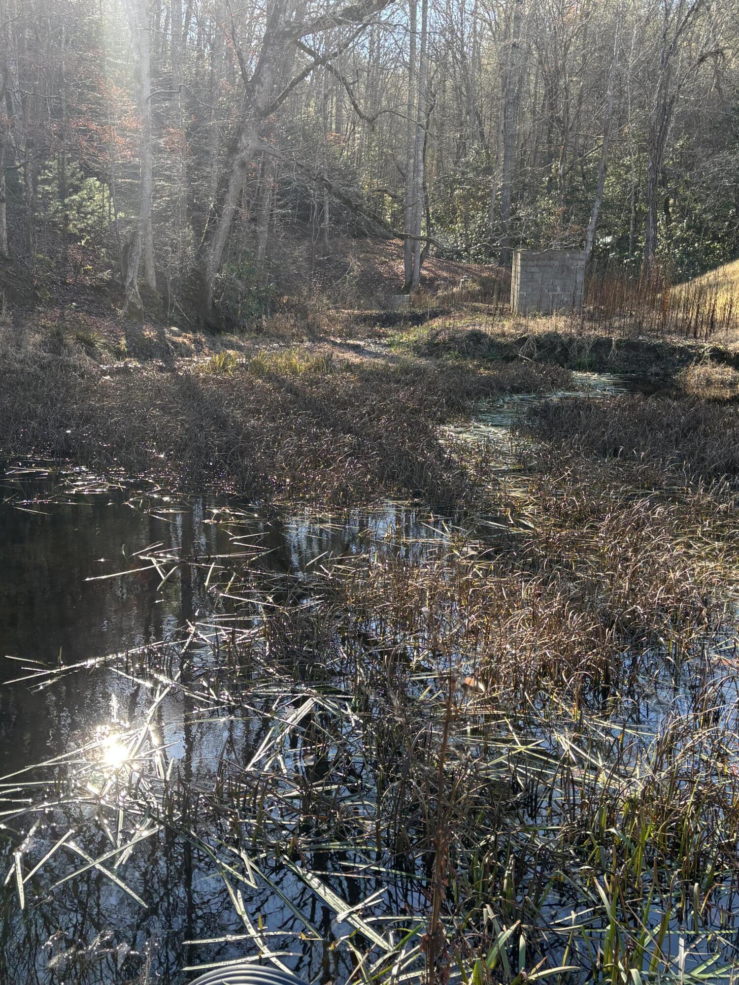 476 Appalachia Dam Road Farner, TN 37333 - Photo 36 of 53 Burns 476 appalachia dam rd photo26