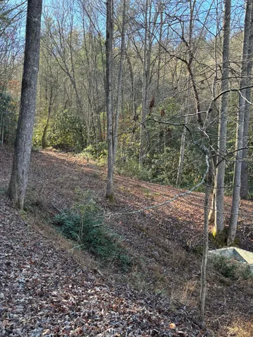 $445,000 | 476 Appalachia Dam Road, Farner, TN 37333