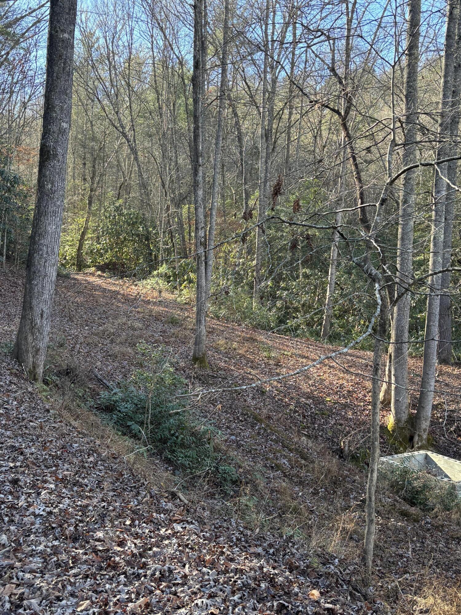 476 Appalachia Dam Road Farner, TN 37333 - Photo 37 of 53 Burns 476 appalachia dam rd photo27