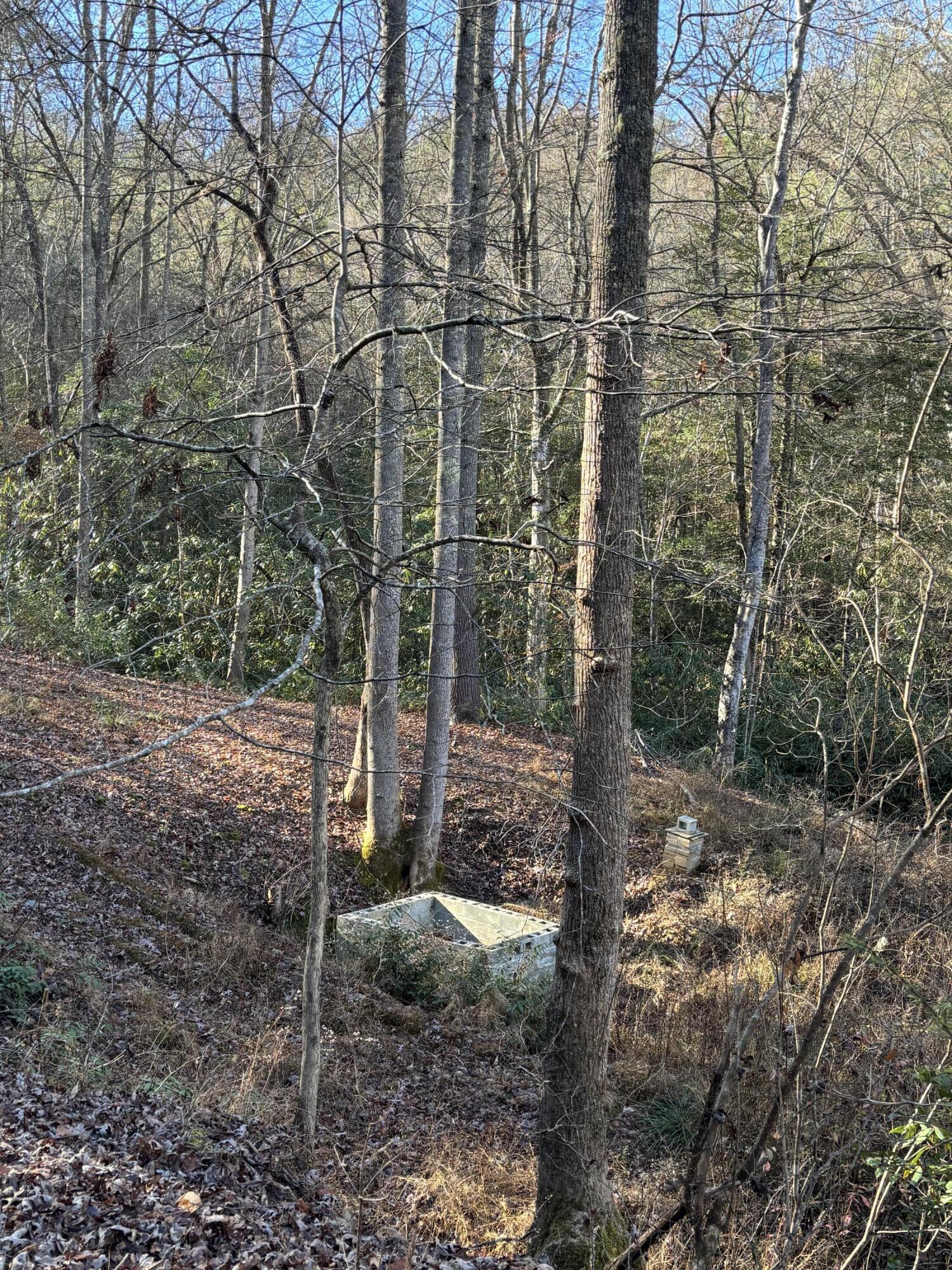 476 Appalachia Dam Road Farner, TN 37333 - Photo 38 of 53 Burns 476 appalachia dam rd photo29