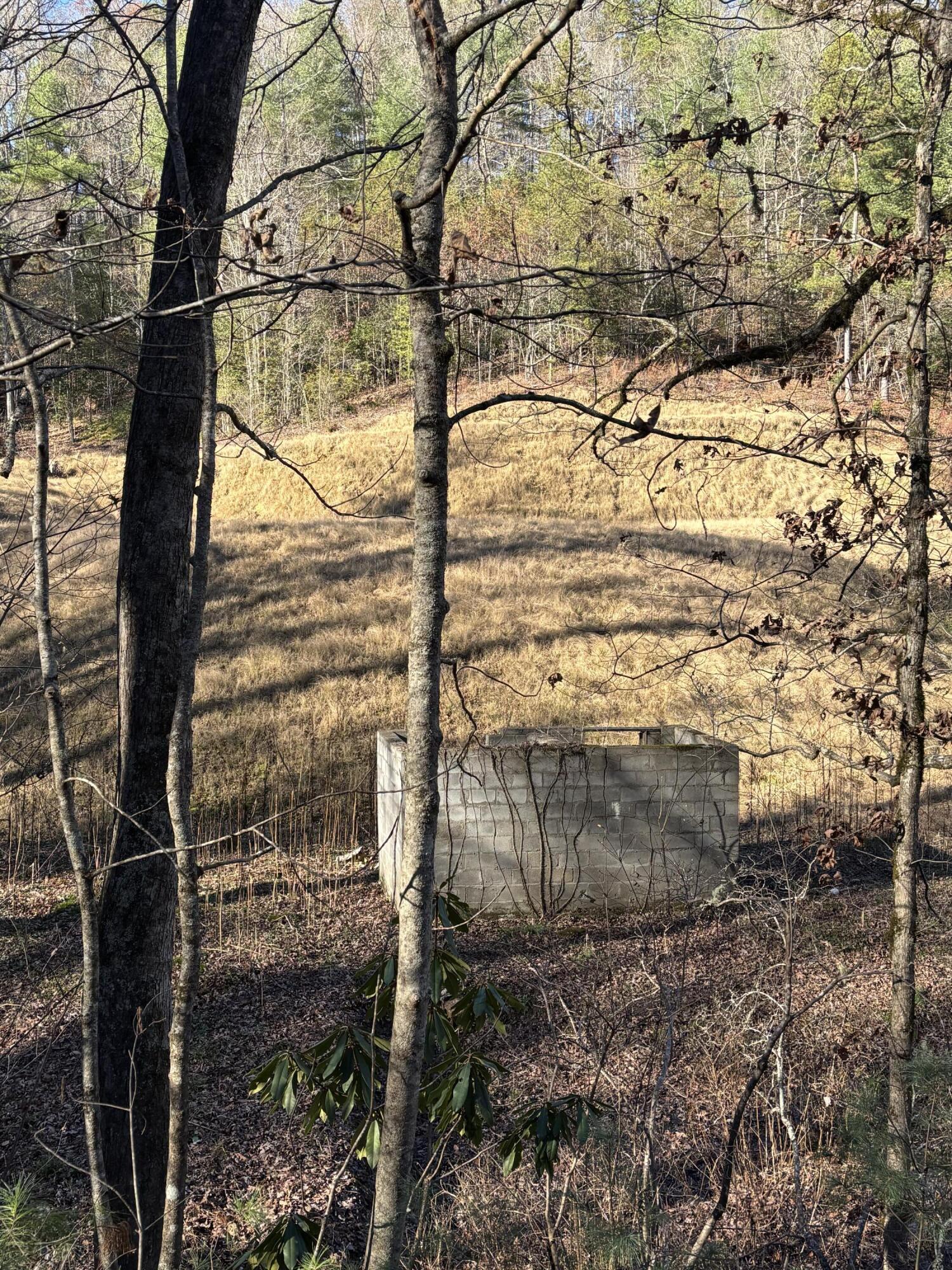 476 Appalachia Dam Road Farner, TN 37333 - Photo 39 of 53 Burns 476 appalachia dam rd photo30