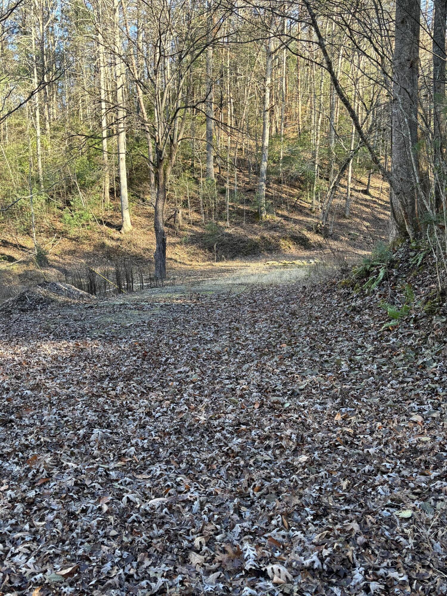 476 Appalachia Dam Road Farner, TN 37333 - Photo 40 of 53 Burns 476 appalachia dam rd photo32