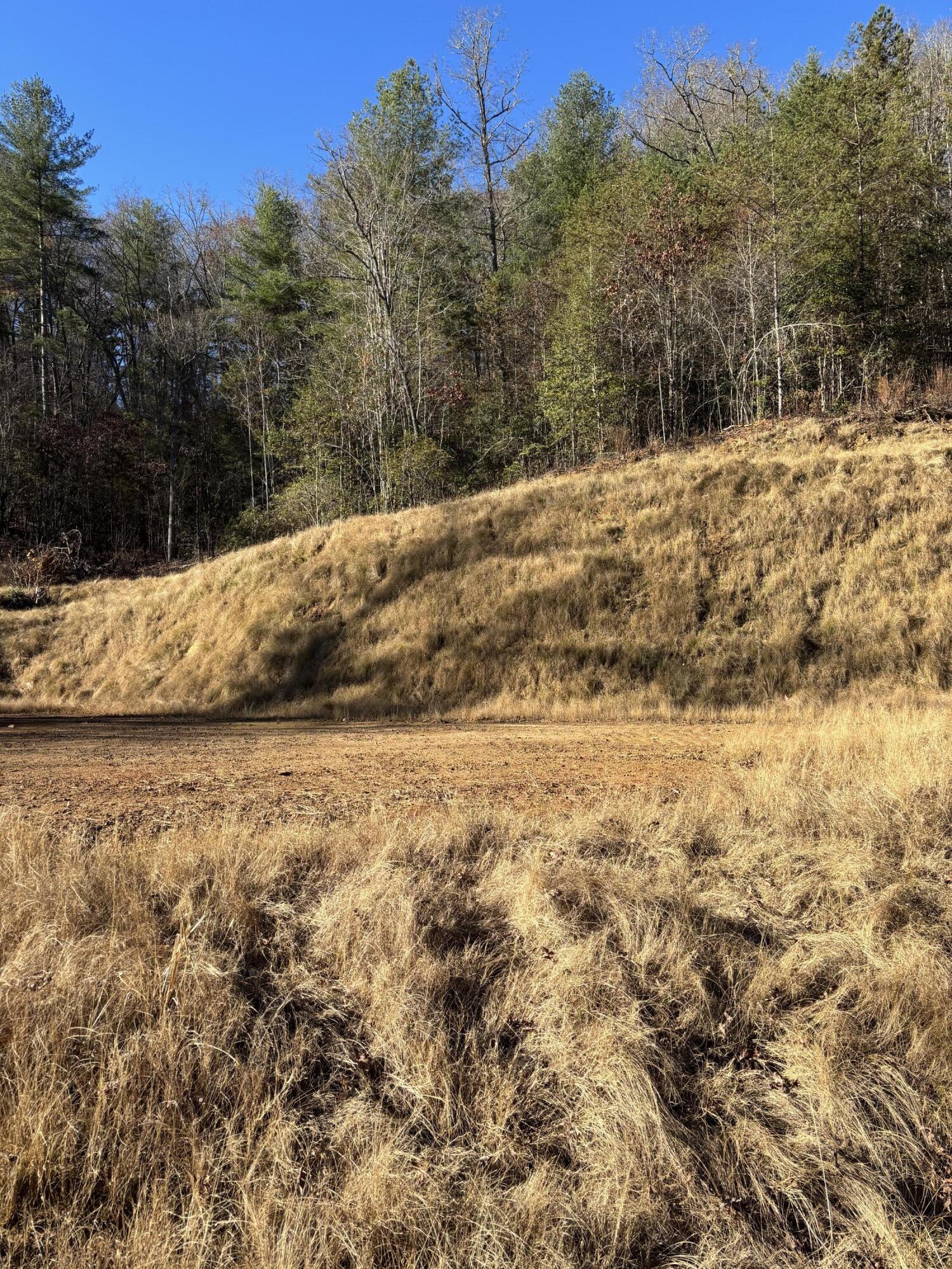 476 Appalachia Dam Road Farner, TN 37333 - Photo 4 of 53 Burns 476 appalachia dam rd photo6