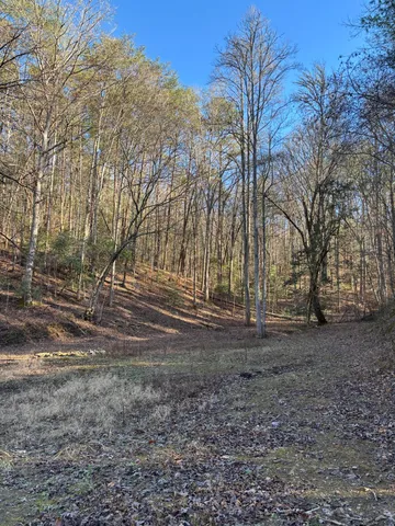 $445,000 | 476 Appalachia Dam Road, Farner, TN 37333