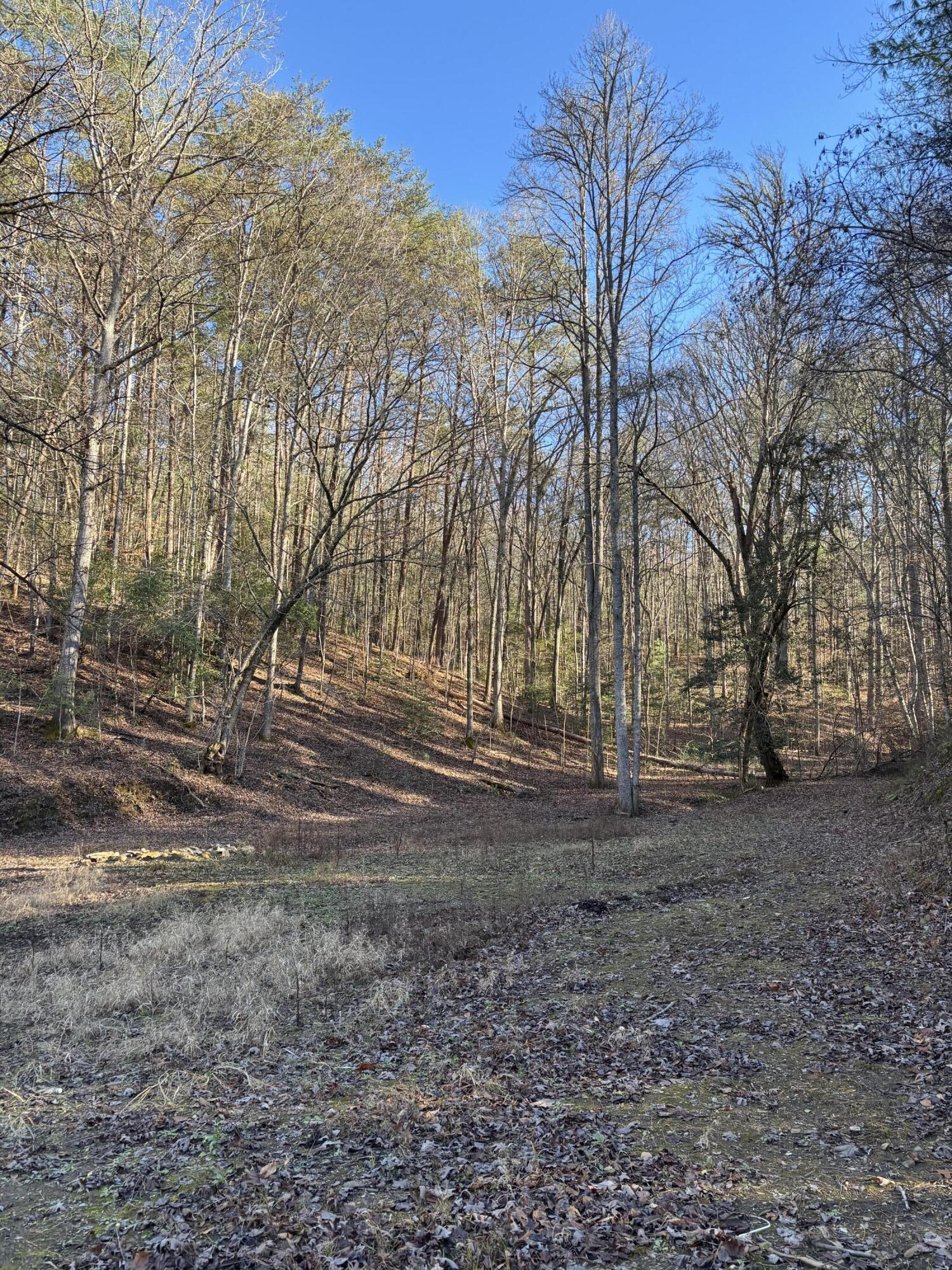 476 Appalachia Dam Road Farner, TN 37333 - Photo 41 of 53 Burns 476 appalachia dam rd photo34