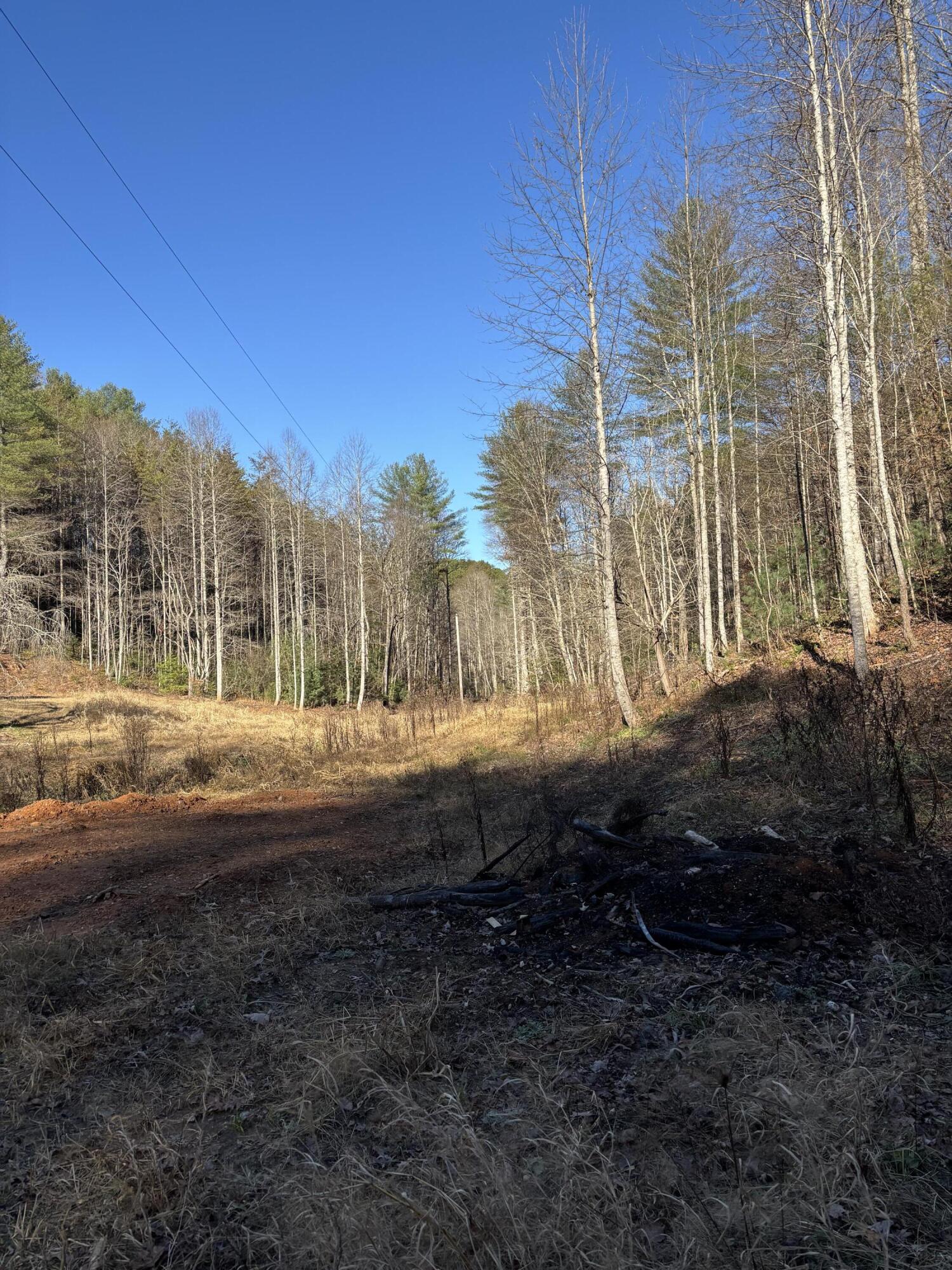 476 Appalachia Dam Road Farner, TN 37333 - Photo 42 of 53 Burns 476 appalachia dam rd photo35