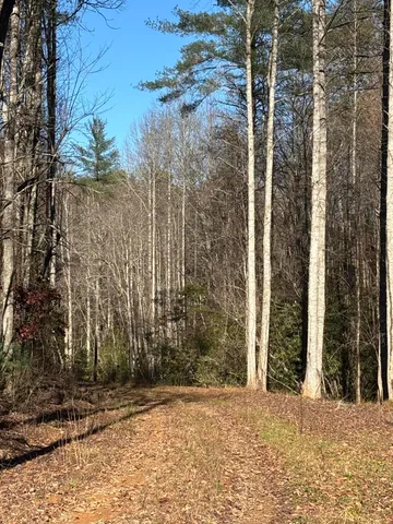 $445,000 | 476 Appalachia Dam Road, Farner, TN 37333