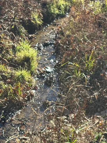 $445,000 | 476 Appalachia Dam Road, Farner, TN 37333