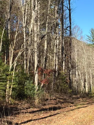 $445,000 | 476 Appalachia Dam Road, Farner, TN 37333