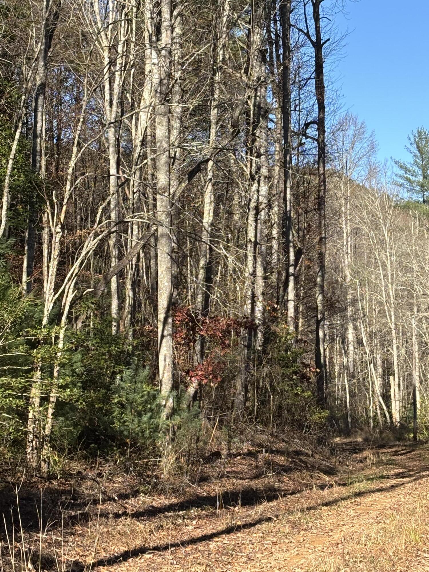 476 Appalachia Dam Road Farner, TN 37333 - Photo 45 of 53 Burns 476 appalachia dam rd photo39