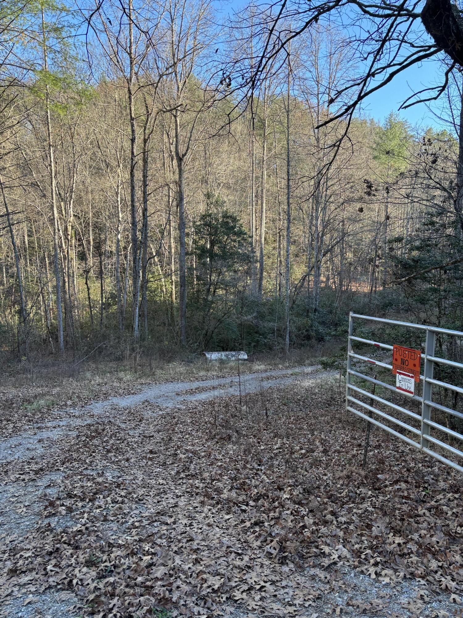 476 Appalachia Dam Road Farner, TN 37333 - Photo 46 of 53 Burns 476 appalachia dam rd photo40