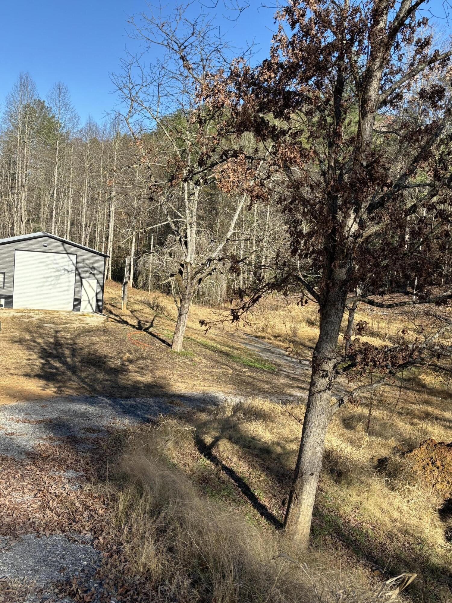 476 Appalachia Dam Road Farner, TN 37333 - Photo 5 of 53 Burns 476 appalachia dam rd photo7