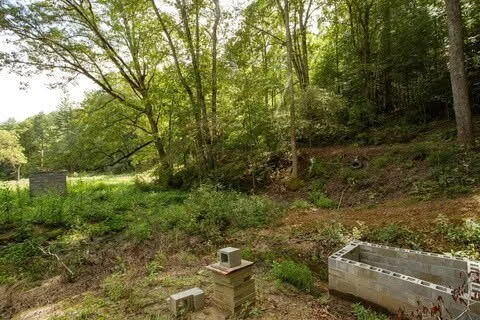 476 Appalachia Dam Road Farner, TN 37333 - Photo 51 of 53 Burns 476 appalachia dam rd photo45