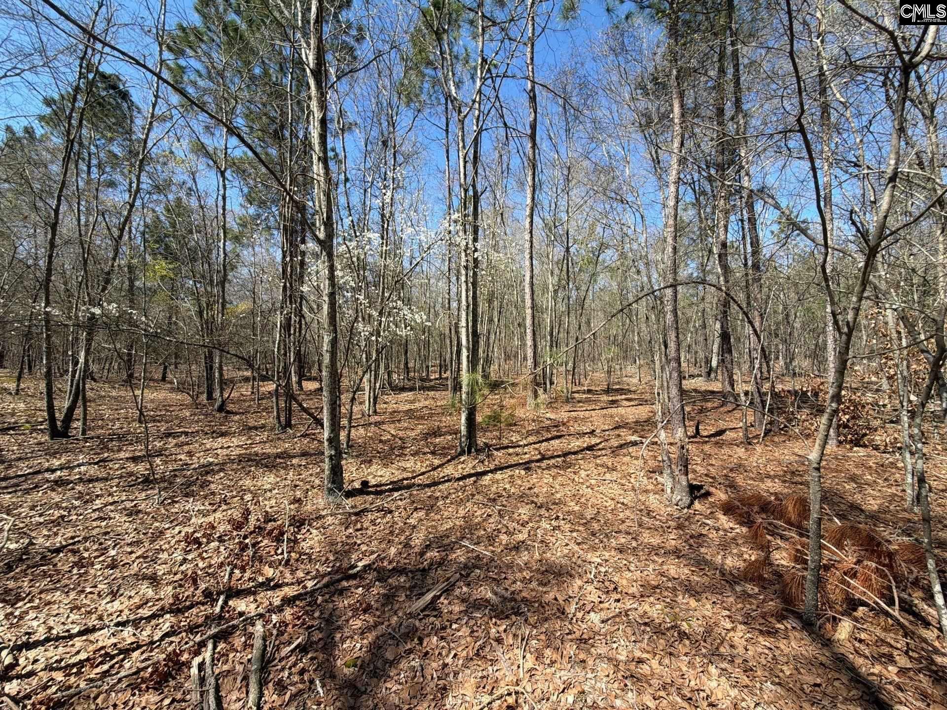 9 Boise Cascade Road, Unit BHL 9 Bethune, SC 29009 - Photo 17 of 44