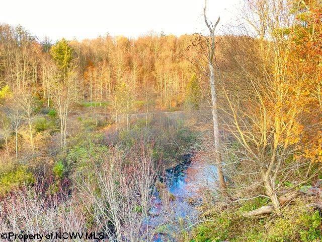 608 Douglas Road Thomas, WV 26292 - Photo 29 of 33 Gallery Image 29