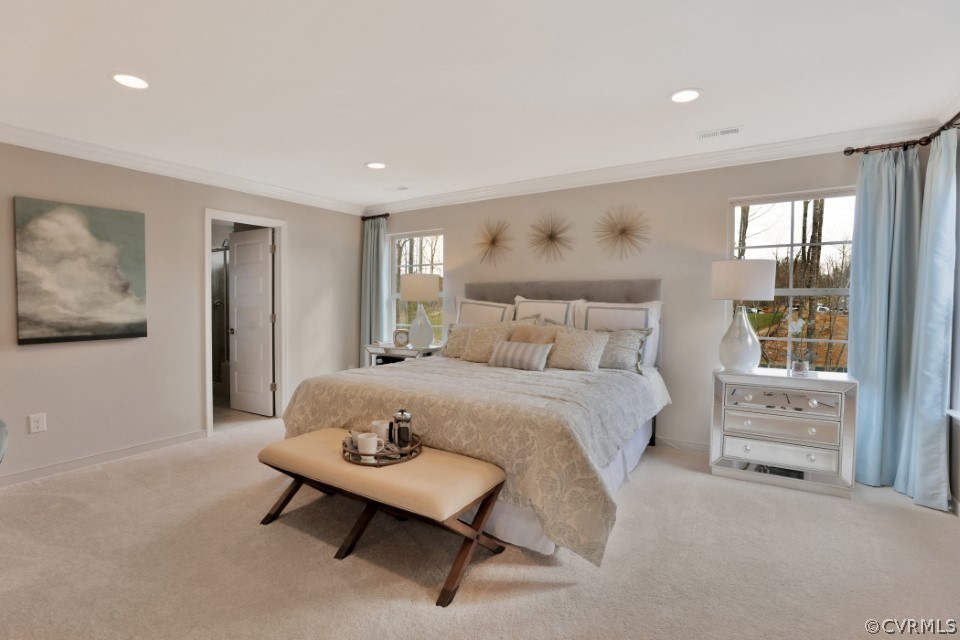 15601 Wolfboro Road Chesterfield, VA 23832 - Photo 21 of 44 Gallery Image 21